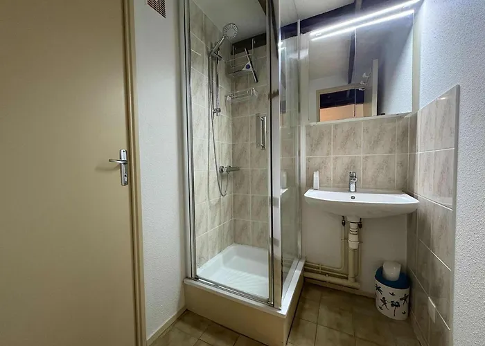 Apartmán Cosy 2 Pieces A 600m De La A - Fr-1-246a-141 *